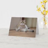 Hosico sitzt auf dem Boden Karte (Gelbe Blume)