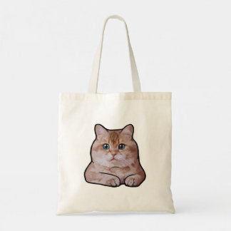 Hosico Tragetasche