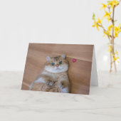 Hosico und Herz Karte (Gelbe Blume)