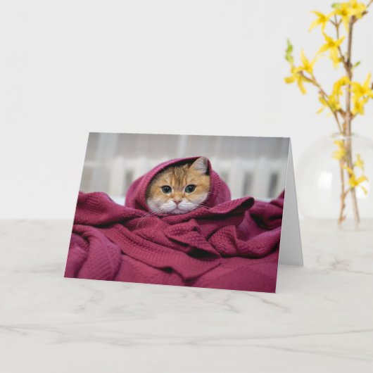 Hosico verpackt karte (Gelbe Blume)