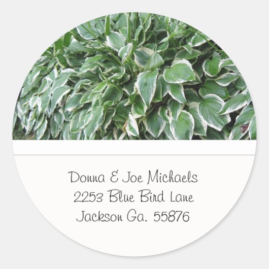 Hosta Address Stickers (Vorderseite)