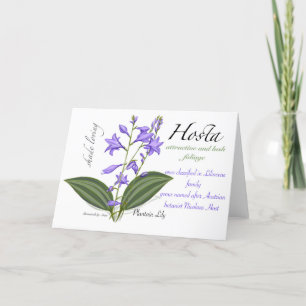 Hosta Blank Card Dankeskarte