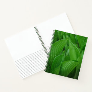 Hosta Blätter mit Raindrops Garden Notebook Notizblock
