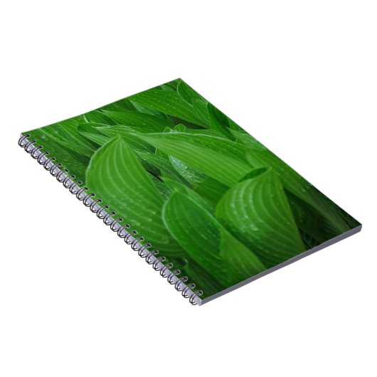 Hosta Blätter mit Raindrops Notebook Notizblock (Rechte Seite)