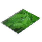 Hosta Blätter mit Raindrops Notebook Notizblock (Linke Seite)