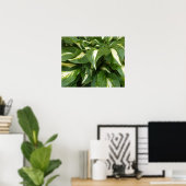 Hosta-Blätter Poster (Heimbüro)