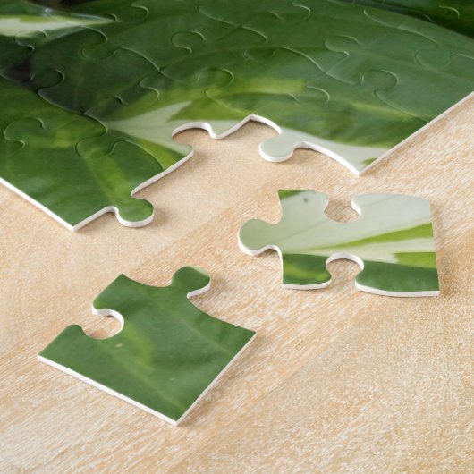 Hosta-Blätter Puzzle (Seite)