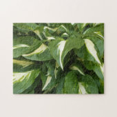 Hosta-Blätter Puzzle (Horizontal)