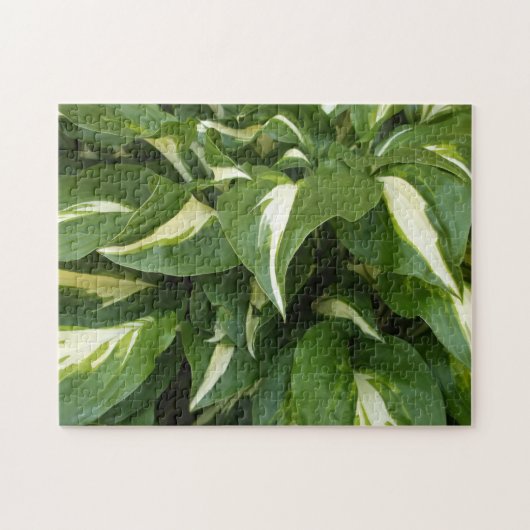 Hosta-Blätter Puzzle (Horizontal)