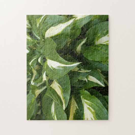 Hosta-Blätter Puzzle (Vertikal)