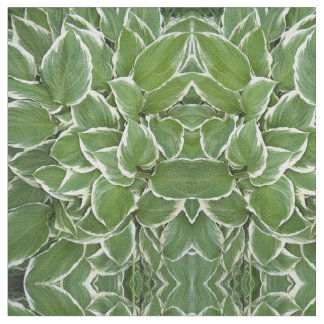 Hosta Blätter Spiegelbild Bildgewebe Stoff