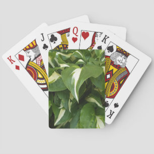 Hosta-Blätter Spielkarten