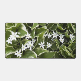 Hosta Blätter und Weißer Ornithogalum Floral Schreibtischunterlage