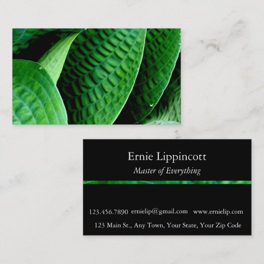 Hosta-Blätter Visitenkarte (Vorne/Hinten)