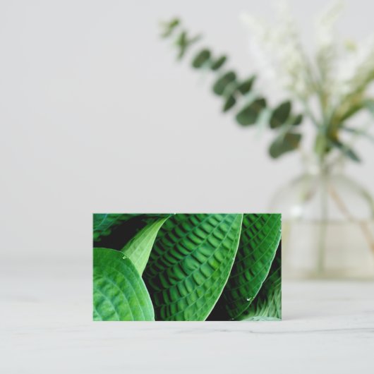 Hosta-Blätter Visitenkarte (Stehend Vorderseite)