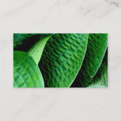 Hosta-Blätter Visitenkarte (Vorderseite)