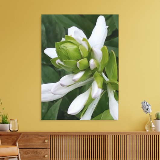 Hosta Blooming Canvas Print Leinwanddruck (Insitu (Wohnzimmer))