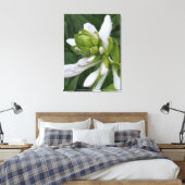 Hosta Blooming Canvas Print Leinwanddruck (Insitu (Schlafzimmer))