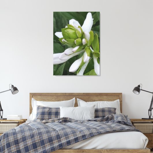 Hosta Blooming Canvas Print Leinwanddruck (Insitu (Schlafzimmer))