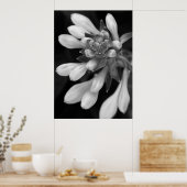 Hosta Blooms Poster (Küche)