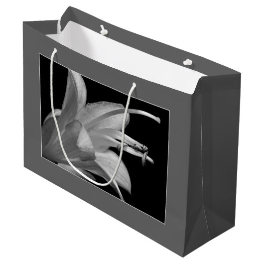 Hosta Blume Black & White Elegante Klassische Flor Große Geschenktüte (Vorderseite Schrägansicht)