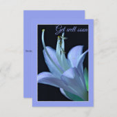 Hosta Blume Blau und Lila bald wieder gut erkunden (Vorne/Hinten)