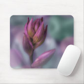 Hosta Blume Bud Lila und grün Mousepad (Mit Mouse)