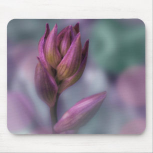 Hosta Blume Bud Lila und grün Mousepad