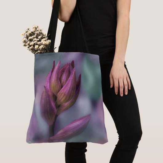 Hosta Blume Bud Lila und grün Tasche (Von Nahem)