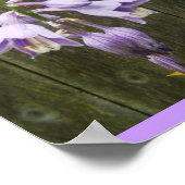 Hosta Blume Poster (Ecke)