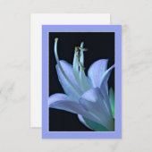 Hosta Blume Verziert Blue & Lila Grußkarte (Vorne/Hinten)