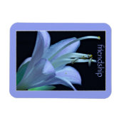 Hosta Blume Verziert Lavender Friendship Magnet (Horizontal)
