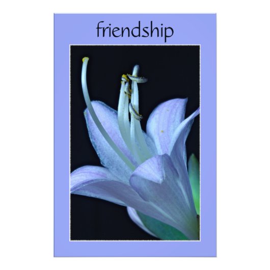 Hosta Blume Verziert Lila Freundschaft Foto Print (Vorne)