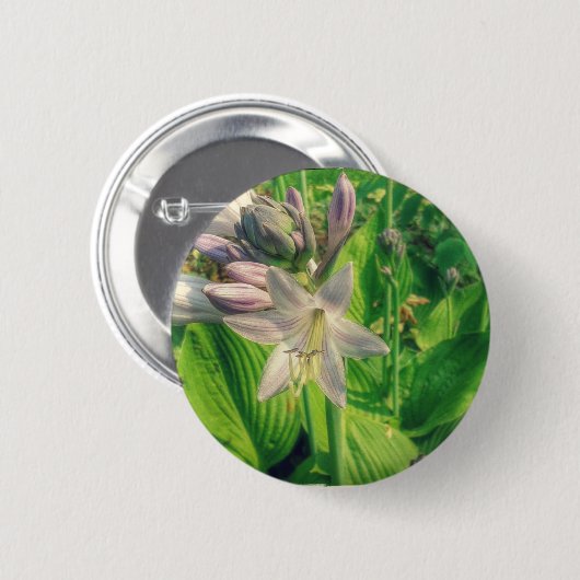Hosta Button (Vorne & Hinten)