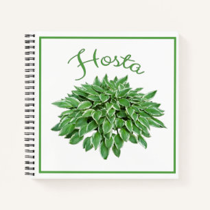 Hosta Design Square Spiral Notebook Notizblock