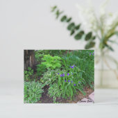 Hosta Garden with Purple Flowers Postcard Postkarte (Stehend Vorderseite)