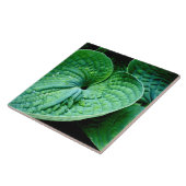 Hosta Heart Fliese (Seite)
