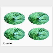 Hosta Heart Ovaler Aufkleber (Blatt)