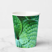Hosta Heart Pappbecher (Links)