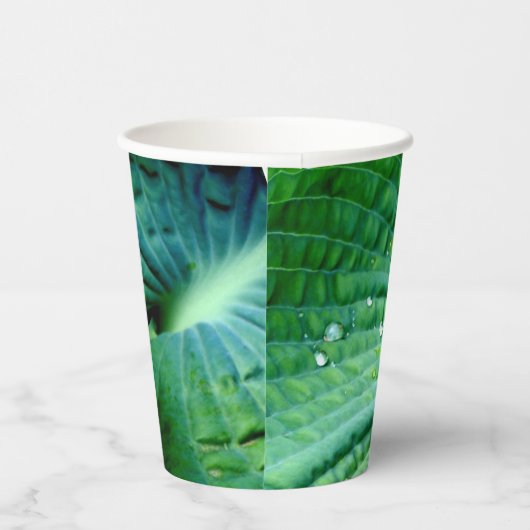 Hosta Heart Pappbecher (Rechts)