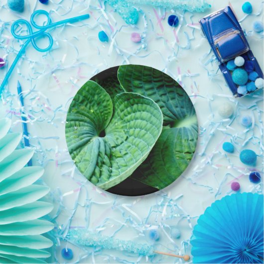 Hosta Heart Pappteller (Party)