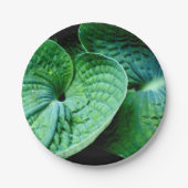 Hosta Heart Pappteller (Vorderseite)