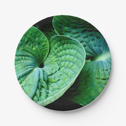 Hosta Heart Pappteller (Vorderseite)