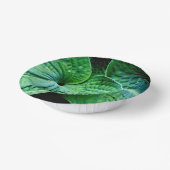 Hosta Heart Pappteller (Gewinkelt)