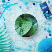 Hosta Heart Pappteller (Party)