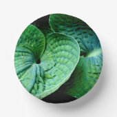 Hosta Heart Pappteller (Vorderseite)