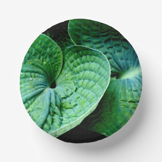 Hosta Heart Pappteller (Vorderseite)