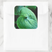 Hosta Heart Quadratischer Aufkleber (Tasche)