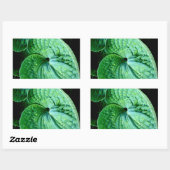 Hosta Heart Rechteckiger Aufkleber (Blatt)