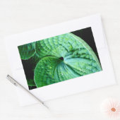 Hosta Heart Rechteckiger Aufkleber (Umschlag)